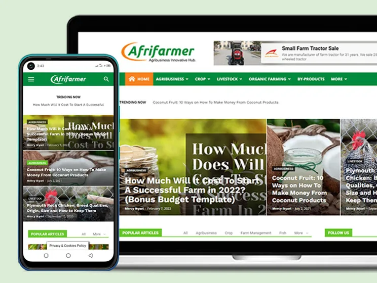 Afrifarmer brand identity and website design