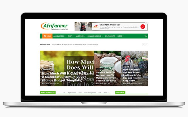 Afrifarmer new desktop/mobile website design