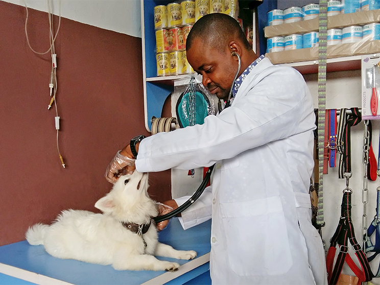 Dr Victor checking a client's dog