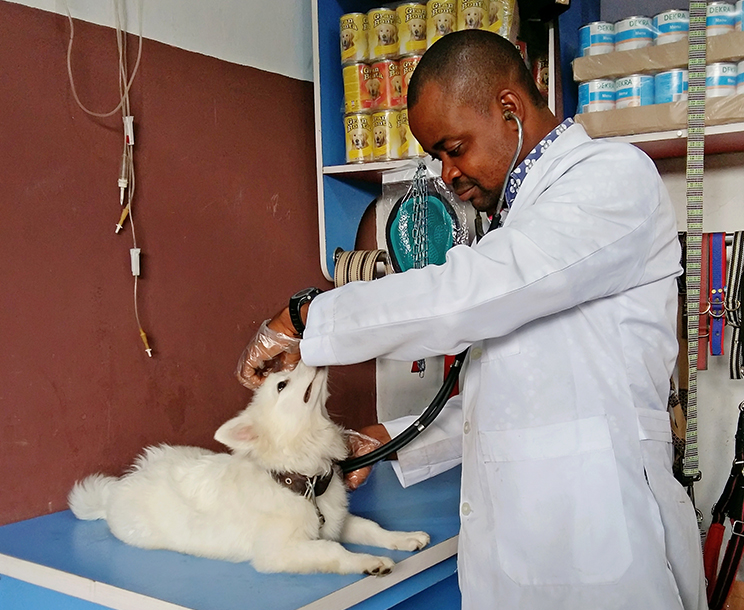 Dr Victor checking a client's dog