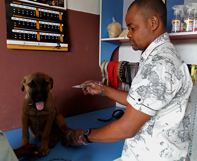 Dr Victor testing a client dog